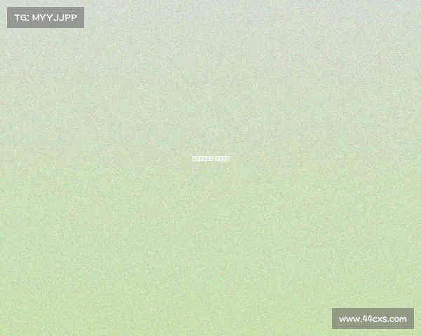 南美顶级赛事-南美比赛