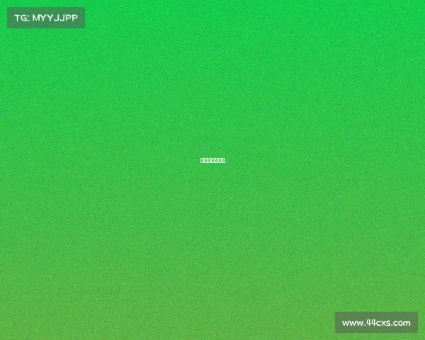 国际网球公开赛